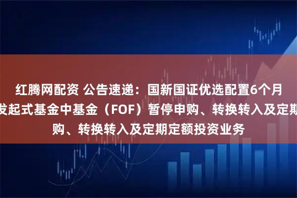 红腾网配资 公告速递：国新国证优选配置6个月持有期混合型发起式基金中基金（FOF）暂停申购、转换转入及定期定额投资业务