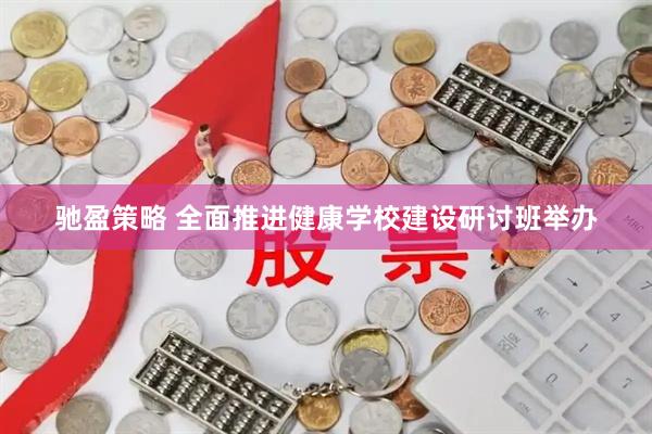 驰盈策略 全面推进健康学校建设研讨班举办