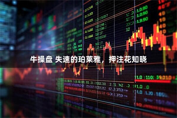 牛操盘 失速的珀莱雅，押注花知晓