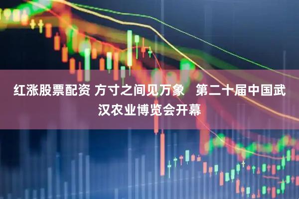 红涨股票配资 方寸之间见万象   第二十届中国武汉农业博览会开幕