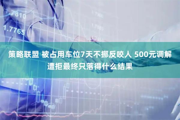 策略联盟 被占用车位7天不挪反咬人 500元调解遭拒最终只落得什么结果